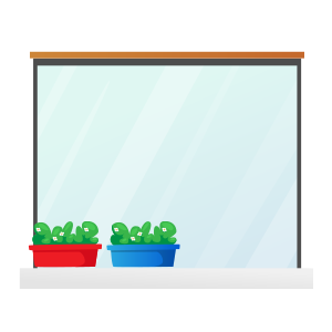 ショーウィンドウ